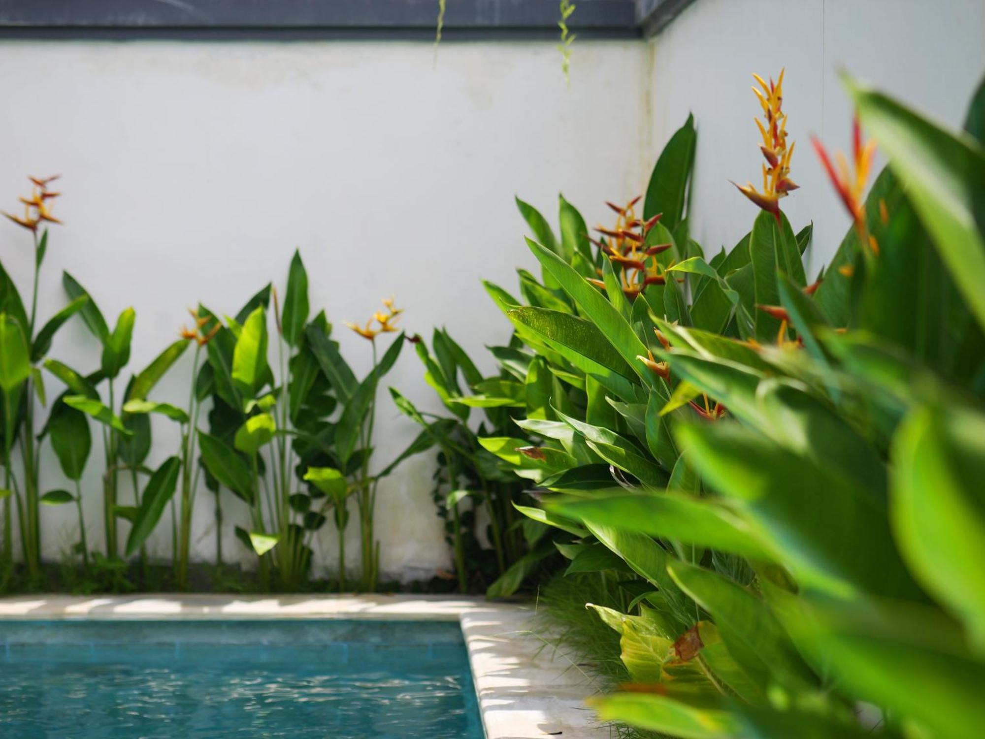 Ken Ken Guest House Seminyak  Exterior photo